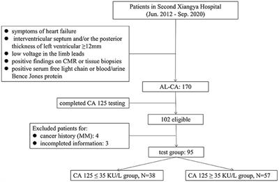 High Serum Carbohydrate Antigen (CA) 125 Level Is Associated With Poor Prognosis in Patients With Light-Chain Cardiac Amyloidosis